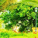 Quinta Do Cabouco 4* Ribeira Brava