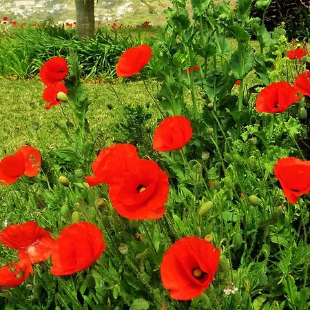 Quinta Do Cabouco Pensionat 4*