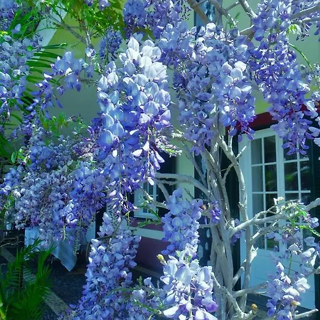 Гостевой дом Quinta Do Cabouco 4*