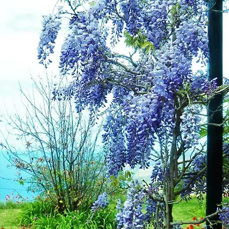 Гостевой дом Quinta Do Cabouco