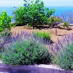 بيت ضيافة Quinta Do Cabouco 4*