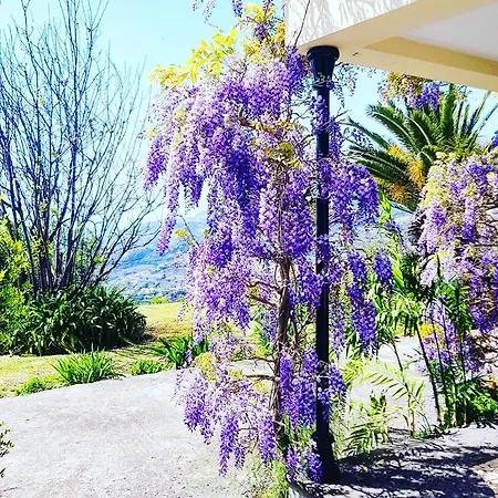 Quinta Do Cabouco Guest house *