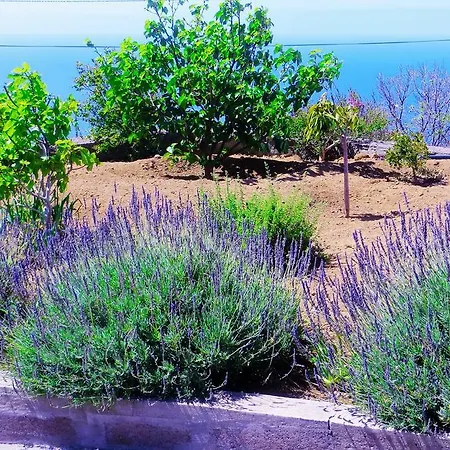 Pensjonat Quinta Do Cabouco 4*