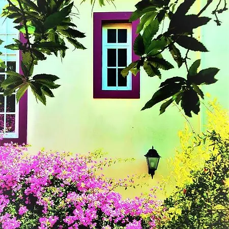 Pensjonat Quinta Do Cabouco Ribeira Brava