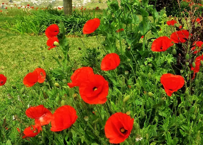 Quinta Do Cabouco Konukevi 4*