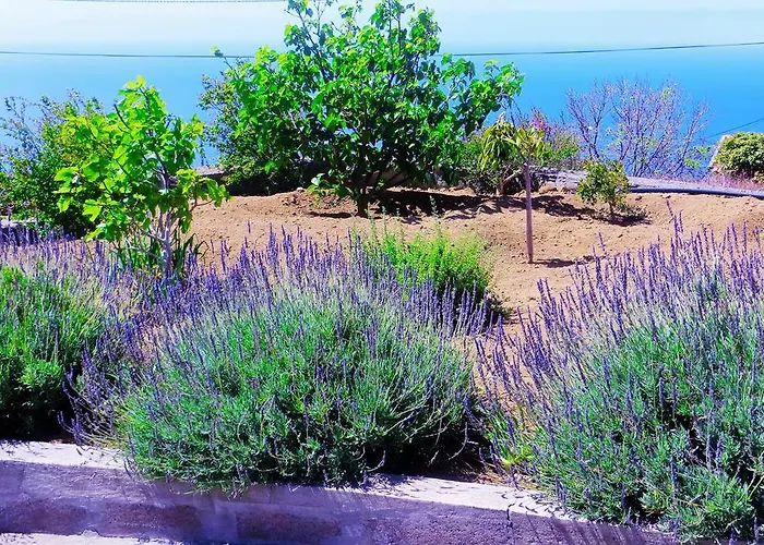 Konukevi Quinta Do Cabouco 4*