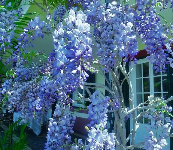 Konukevi Quinta Do Cabouco 4*