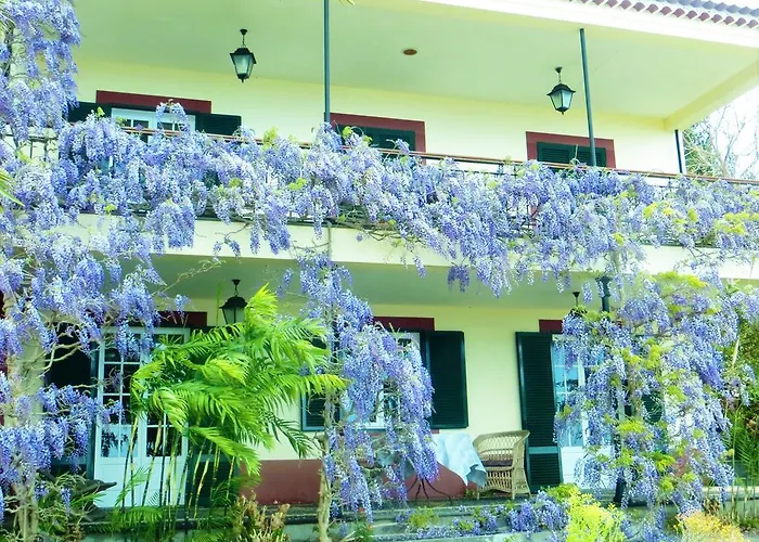 Quinta Do Cabouco Konukevi Ribeira Brava