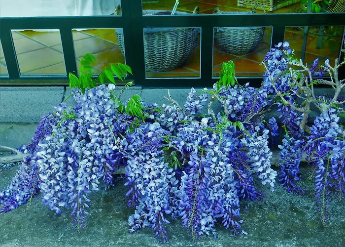 招待所 Quinta Do Cabouco 里贝拉布拉瓦