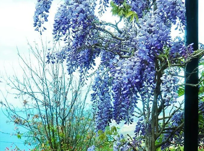 招待所 Quinta Do Cabouco