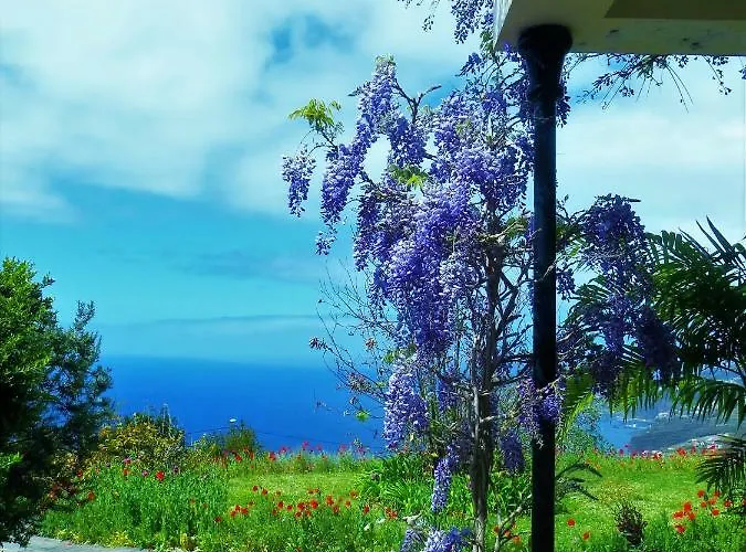 Quinta Do Cabouco Konukevi